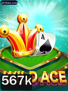 Descubra o Mundo de WildAce: O Jogo que Conquistou 567k Jogadores